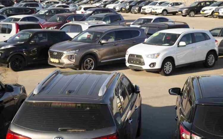 Koop (band) visual data 5