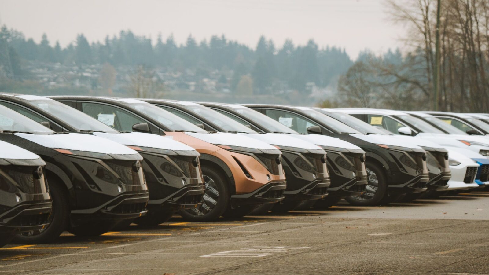 Beste tweedehands elektrische auto onder 20.000 euro