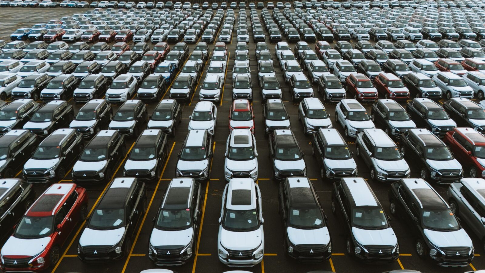VinFast VF 6 is de meest geregistreerde nieuwe auto van week 43